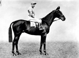 Horse Racing - Golden Miller - 1934