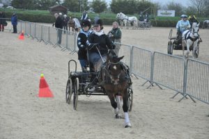 Emily Ham at the Indoor Carriage Driving Championships 2014