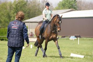 Al having a dressage lesson