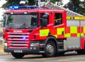 pony put down after rescued from quagmire