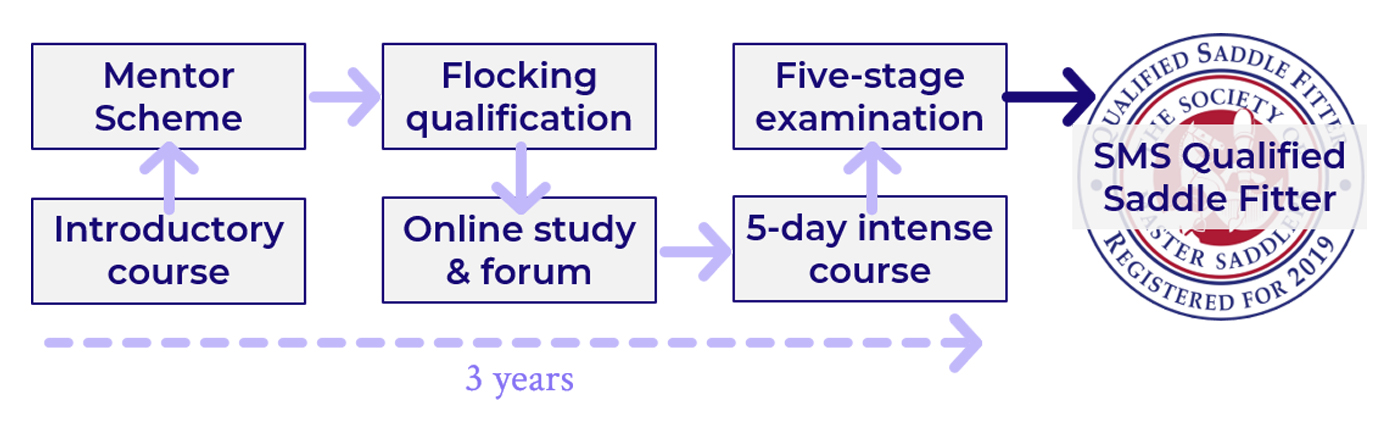 Saddle-Advice-diagram