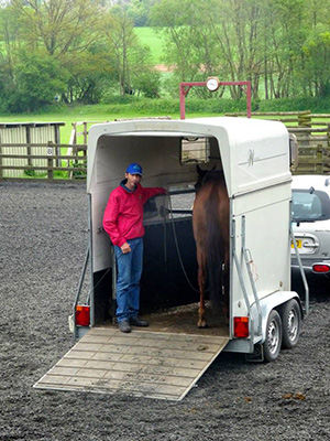 loading racehorse