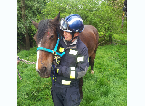 5 Walking off sedation