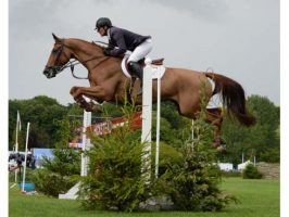 Guy Williams riding Casper De Muze to win the Speed Bery at Hickstead 2014