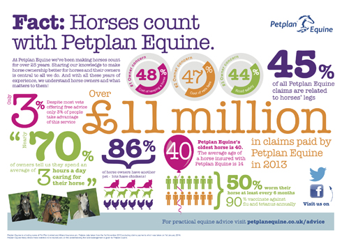 Petplan Equine INFOGRAPHIC FFV