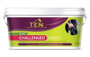 TEN-ChallengedJoints