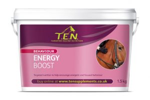 TEN-EnergyBoost