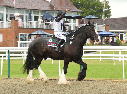 Morpheus 1st Shire Horse Race