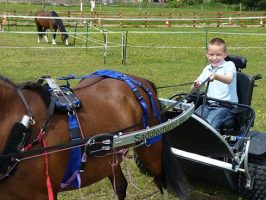 Ethan driving his pony