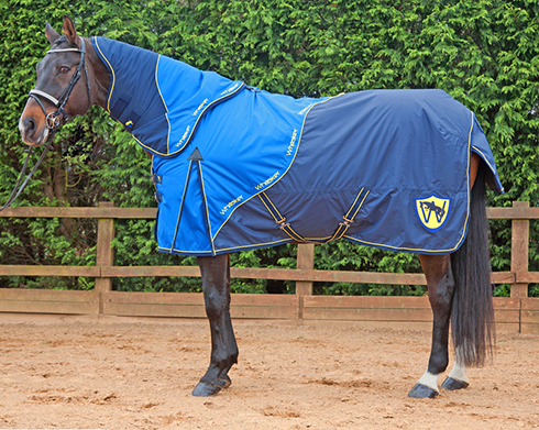 R035 200g Turnout Rug