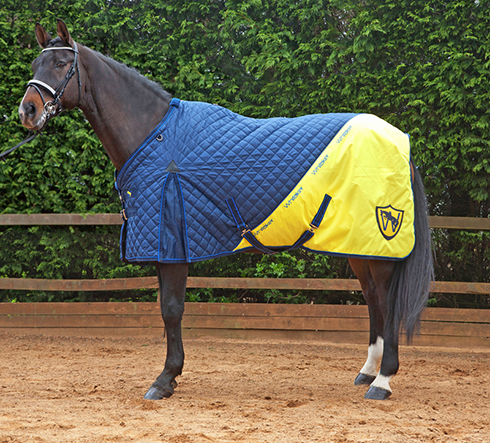 R036 150g Stable Rug