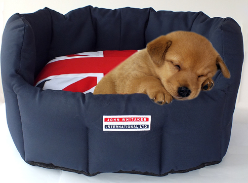 UJDB Union Jack Dog Bed