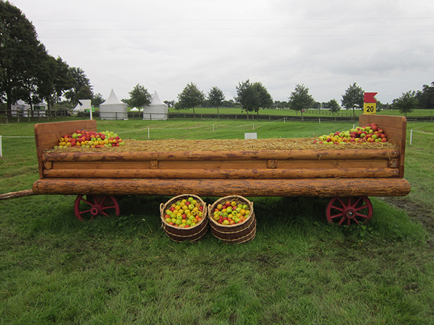 Fence 20: La Bolee Des Vignettes