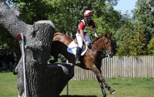 Joe Meyer and Clifton Lush