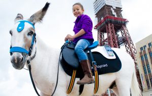 Barclay Card Pilot Contactless Donkeys on Blackpool Beach