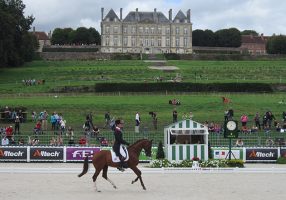William Fox-Pitt and Chilli Morning take the lead on the first day of eventing dressage at WEG 2014