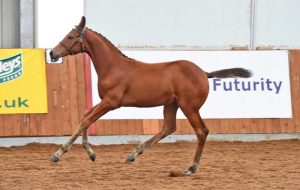 OCEANS BOUDICCA credit Kevin Sparrow