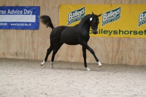 Pretty-Picture-Credit-Eclipse-Photos-300x200