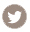 Twitter Circle