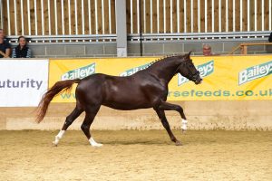 WF4_3776 - WOODLANDER WALES MR