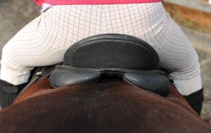Saddle viewed from behind