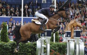 RDS Show Friday 08.08.14 Nations Cup Spencer Roe (GB) on Wonder Why