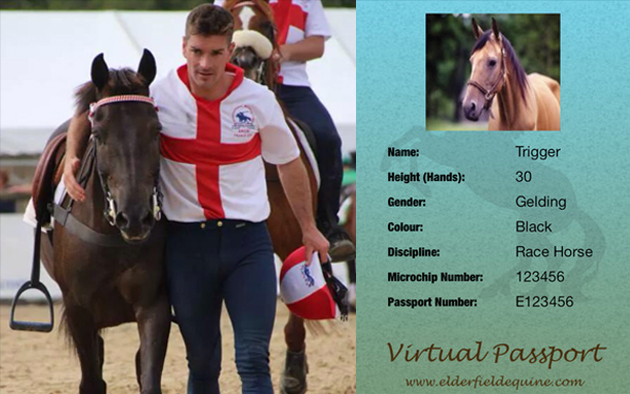 Aron-and-Horse-Passport