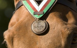 Honorary PDSA Dickin Medal