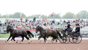 British driver Georgina Hunt performing her dressage at WEG 2014