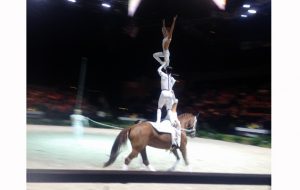 German squad, WEG 2014