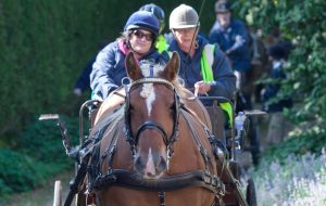 Marlborough Downs for disabled communities