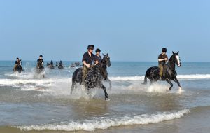 THE KINGÕS TROOP ROYAL HORSE ARTILLERY  EQUESTRIAN EXERCISE IN WOOLACOMBE