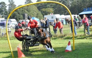 Emily Ham driving horses at the National Championships