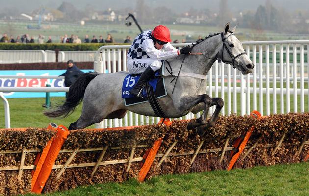 simonsig jumps the last on his way to winning at cheltenham 14-3-12