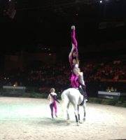 Swiss squad, WEG 2014