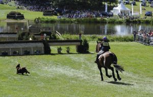 Louise Harwood  riding WHITSON  during the Cross Country phase of The Blenheim Palace International Horse Trials on 8 September 2012Cross Country phase of The Blenheim Palace International Horse T