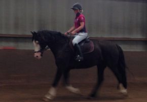 Suzanna Hext and Marley