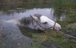 Drowning rescue