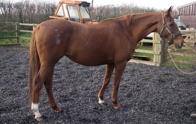 13-1895 case photo after