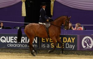 Loraine Homer HOYS 2014