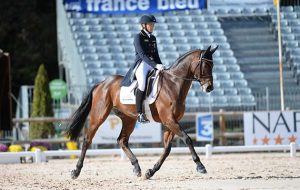 Pau Horse Trials dressage results: William Fox-Pitt and Ingrid Klimke equal first