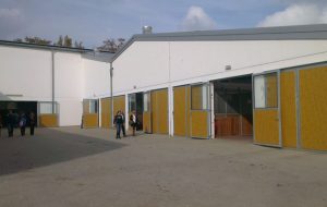 Hanoverian Association