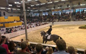 Hanoverian Association