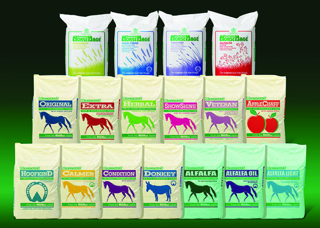 Mollichat Fullrange Featured