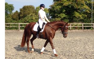 Chloe Vell and Dive