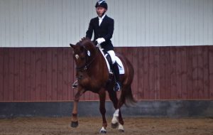 Shaun Mandy blog: Poppy medium