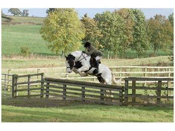 Super safe hunting cob
