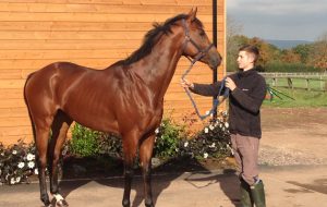 Alexandra Dunn's racing blog: Will Gordon and Hoy Hoy