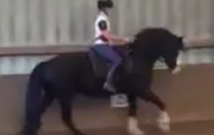 marley at lakefield1