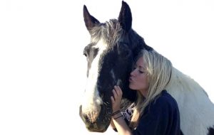 Are horses affected by your tone of voice?